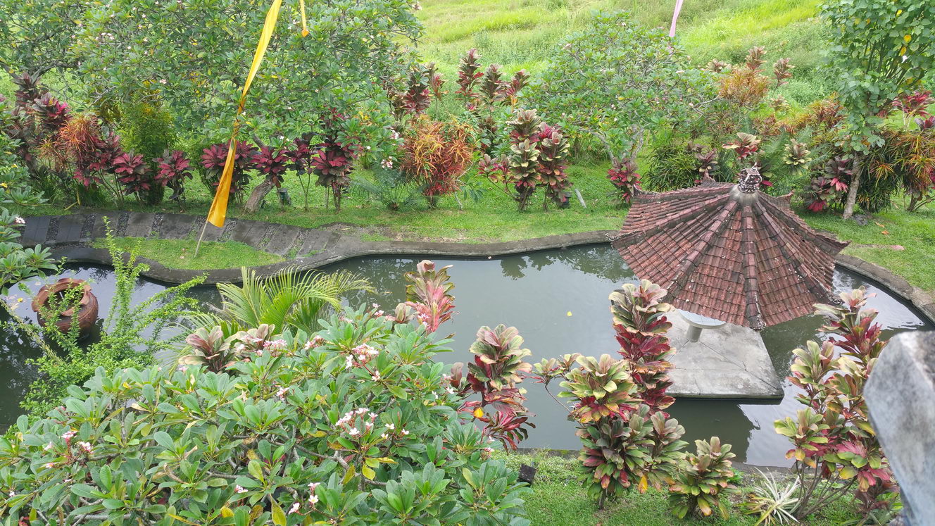 20160208 142943 (2016 10 02 16 07 39 UTC)